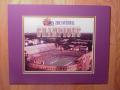 Picture: LSU Tigers Tiger Stadium 2003 National Champions original 8 X 10 photo professionally double matted to 11 X 14 to fit a standard frame.