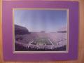 Picture: LSU Tigers Tiger Stadium in the daytime original 8 X 10 photo professionally double matted in team colors to 11 X 14 so that it fits a standard frame.