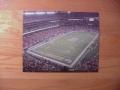 Picture: LSU Tigers vs. Georgia Tech 2008 Chick-Fil-A Bowl Georgia Dome original 12 X 18 panoramic stadium.