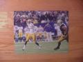 Picture: Jordan Jefferson LSU Tigers original 8 X 10 photo.