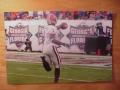 Picture: Georgia Bulldogs Mohamed Massaquoi 12 X 18 Panoramic Touchdown vs. Florida.