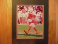 Picture: Miami Hurricanes Ibis Mascot original 8 X 10 photo professionally double matted to 11 X 14 so that it fits a standard frame.