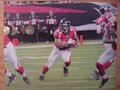 Picture: Michael Turner Atlanta Falcons 12 X 18 panoramic print.