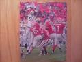Picture: Georgia Tech Yellow Jackets Defense with Michael Johnson original 16 X 20 photo print.