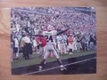 Picture: Knowshon Moreno celebrates Georgia Bulldogs photo.