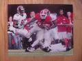 Picture: Knowshon Moreno "Horizontal" Georgia Bulldogs original 16 X 20 photo print.