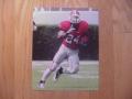 Picture: Knowshon Moreno "Number 1" Georgia Bulldogs original 16 X 20 photo print.