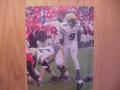 Picture: Josh Nesbitt "The Audible" Georgia Tech Yellow Jackets original 8 X 10 photo professionally double matted to 11 X 14. If you would like this framed in cherry wood staircase molding please add $20.