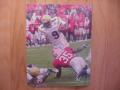 Picture: Josh Nesbitt Georgia Tech Yellow Jackets original 16 X 20 photo print.