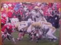 Picture: Josh Nesbitt "The Quarterback" Georgia Tech Yellow Jackets original 8 X 10 photo professionally double matted to 11 X 14. If you would like this framed in solid cherry wood staircase molding please add $20.00.