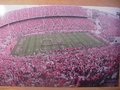 Picture: Ohio State Buckeyes Ohio Stadium panoramic "The Shoe" print with band spelling out in script "Ohio" on the field.