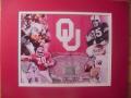 Picture: Oklahoma Sooners Heisman Trophy and Stadium 8 X 10 photo print includes Billy Vessels, Steve Owens, Billy Sims, Jason White, and Sam Bradford and comes without mats.