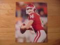 Picture: Sam Bradford passes Oklahoma Sooners 11 X 14 photo.