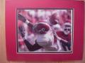 Picture: Roman Harper Alabama Crimson Tide original 8 X 10 photo professionally double matted to 11 X 14 to fit a standard frame.