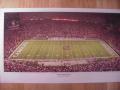 Picture: South Carolina Gamecocks 2006 Williams-Bice Stadium print.