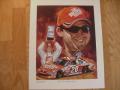 Picture: Tony Stewart Home Depot NASCAR limited edition print signed and numbered by the artist.