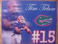 Picture: Tim Tebow Florida Gators 11 X 14 photo print.