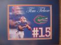 Picture: Tim Tebow Florida Gators 8 X 10 photo print professionally double matted in team colors to 11 X 14 so that it fits a standard frame.