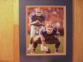 Picture: Tim Tebow at quarterback Florida Gators original 8 X 10 photo professionally double matted to 11 X 14 to fit a standard frame.