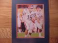 Picture: Tim Tebow of the Florida Gators in action at the 2009 BCS National Championship Game 8 X 10 photo professionally double matted in team colors to 11 X 14 so that it fits a standard frame.