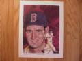 Picture: Ted Williams Boston Red Sox limited edition print signed and numbered by the artist.