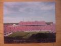 Picture: Texas Longhorns and Oklahoma Sooners Red River Shootout Cotton Bowl panoramic stadium 11 X 14 photo.