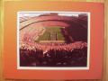 Picture: Tennessee Volunteers Neyland Stadium original 8 X 10 photo the day the Vols beat Georgia 35-14 on October 6, 2007 professionally double matted in UT colors to 11 X 14 to fit a standard frame.