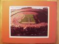 Picture: Tennessee Volunteers Neyland Stadium original 8 X 10 photo the day the Vols beat Georgia 35-14 on October 6, 2007 professionally double matted in UT colors to 11 X 14 to fit a standard frame.
