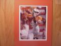 Picture: Dustin Colquitt Tennessee Volunteers 8 X 10 photo professionally double matted to 11 X 14 so that it fits a standard frame.