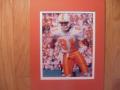 Picture: Robert Meachem Tennessee Volunteers 8 X 10 photo professionally double matted to 11 X 14 so that it fits a standard frame.