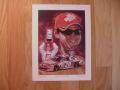Picture: Tony Stewart Home Depot NASCAR limited edition print signed and numbered by the artist.