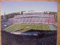 Picture: North Carolina Tar Heels 12 X 18 panoramic Kenan Memorial Stadium photo.