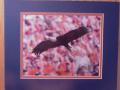 Picture: The Auburn War Eagle Auburn Tigers original 8 X 10 photo professionally double matted to 11 X 14 to fit a standard frame.