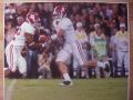 Picture: John Parker Wilson and Mark Ingram Alabama Crimson Tide original 16 X 20 photo print.