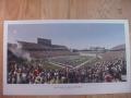 Picture: West Virginia Mountaineers "The Pride of West Virginia" Band marches on Mountaineer Field large stadium print.