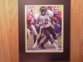 Picture: Steve Slaton West Virginia Moutaineers original 8 X 10 photo professionally double matted to 11 X 14 to fit a standard frame.